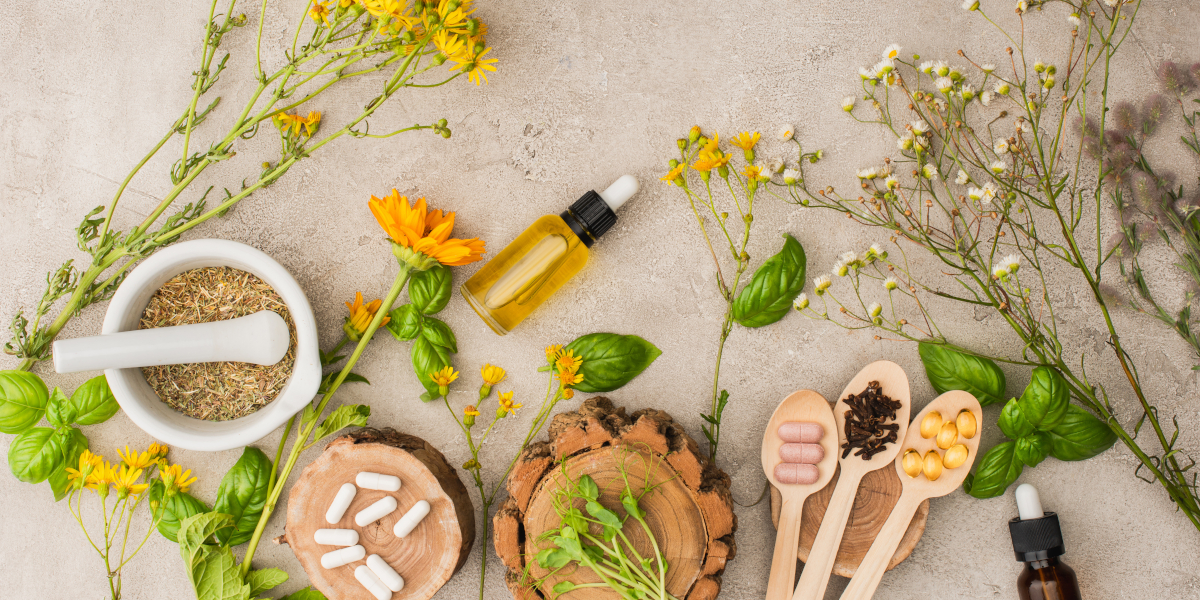 Image de présentation de la formation